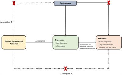 Smoking as a mediator in the association between major depressive disorder and schizophrenia on lung cancer risk: a bidirectional/multivariable and mediation Mendelian randomization study